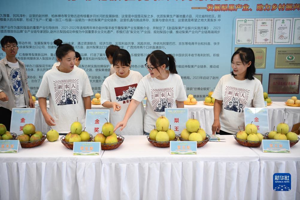 bg博冠下载